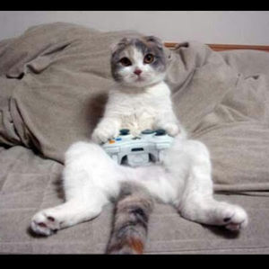 Meet your Posher, Peter